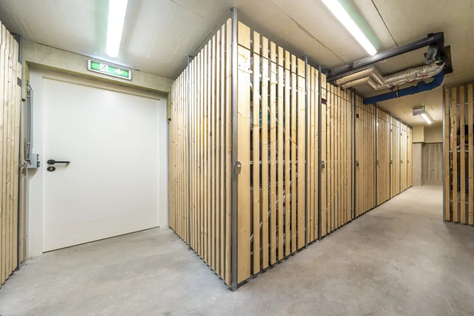 ***2-Zimmer-Neubauwohnung inklusive Küche mit Südbalkon in absoluter Ruhelage auf Eigengrund*** - Bild