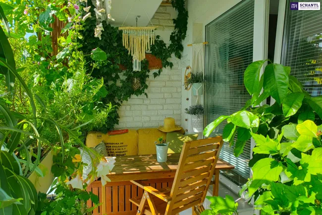 Loggia 2