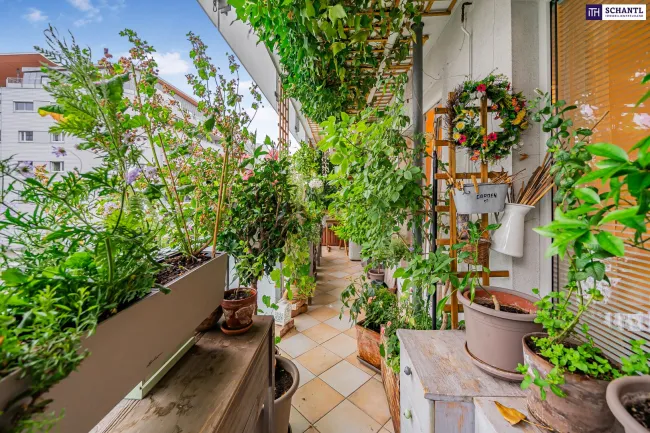 Loggia 2
