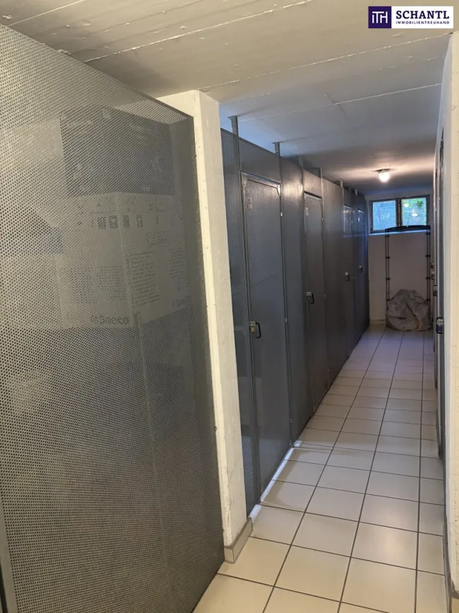 ++ TOP ANLEGERWOHNUNG in BESTLAGE WETZELSDORF++ GARTENWOHNUNG++ - Bild