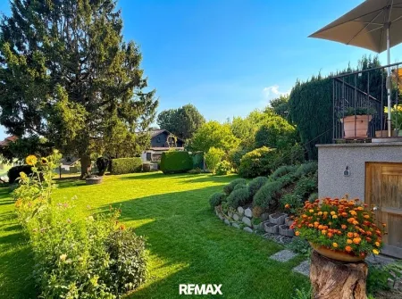 Blick in den Garten