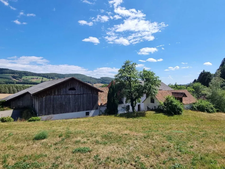 VERLASSENSCHAFTSVERKAUF - sanierungsbedürtiges, landwirtschaftliches Anwesen mit ca. 31 Hektar, Mehrfamilienhaus & eigener Kapelle in 8225 Pöllau - Bild