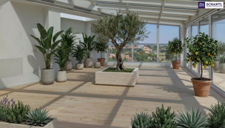 Luxuspenthouse in Jesolo mit Rundblick und Meerblick - über den Dächern der Adria!