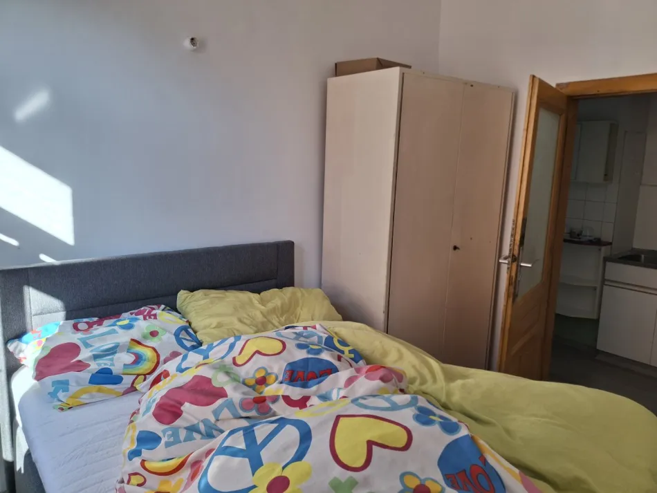 Neu adaptierte 5 Zimmerwohnung als Ferienwohnung geeignet - 5 Minuten zum Erlaufsee und 1Minute zum Skilift ! - Bild