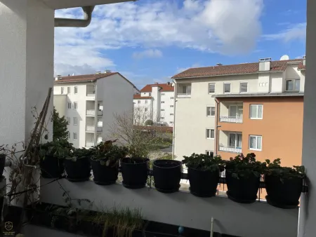 Ausblick