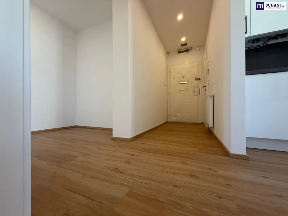 Neu sanierte 2-Zimmer-Wohnung mit Südbalkon in 8052 Graz-Eggenberg, Nähe FH Joanneum - Bild