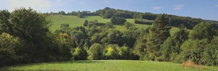 Ausblick
