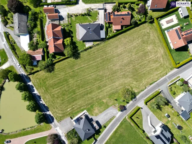 Wagerberg Vibes - ein wunderschönes 3220m² Baugrundstück mit Gefühl und Format! - Titelbild