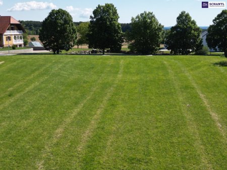 Wagerberg Vibes - ein wunderschönes 3220m² Baugrundstück mit Gefühl und Format!
