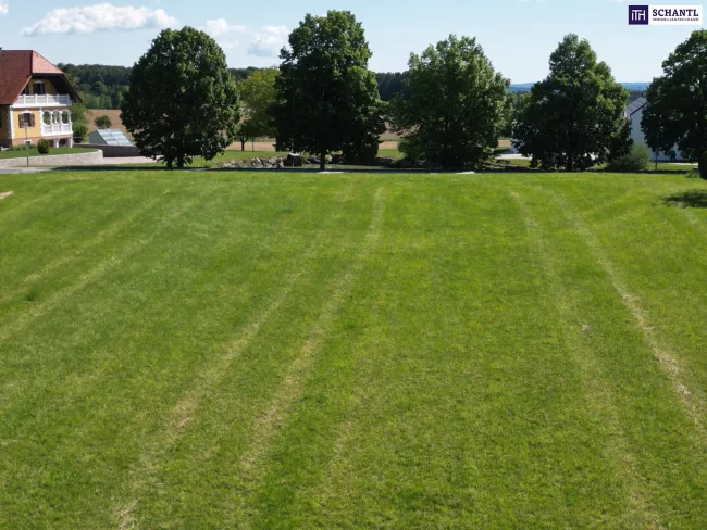 Wagerberg Vibes - ein wunderschönes 3220m² Baugrundstück mit Gefühl und Format! - Bild