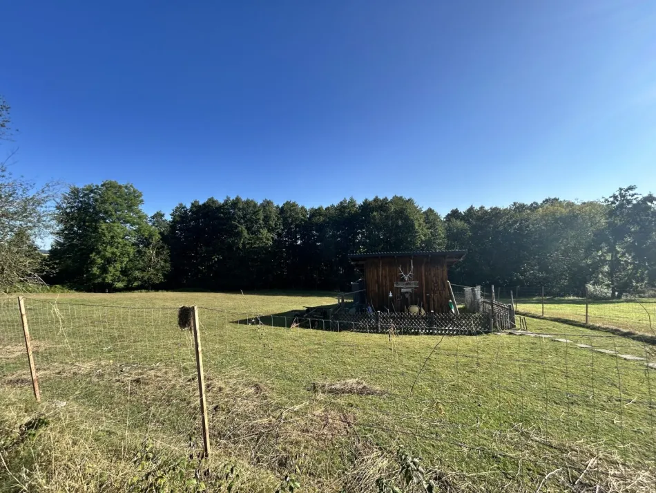 Großzügiges Wildgehege, Fischteich mit Wasserecht ca. 6476m² in Kirchstetten – gepflegt und vielseitig! - Titelbild