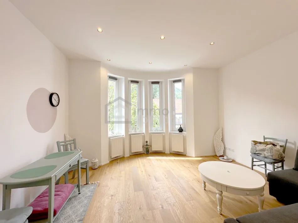 Exklusive Singlewohnung mit Garten – top saniert, komplett eingerichtet & nur 30 Minuten nach Wien - Bild