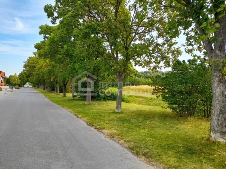 Blick in die Strasse vorm Haus