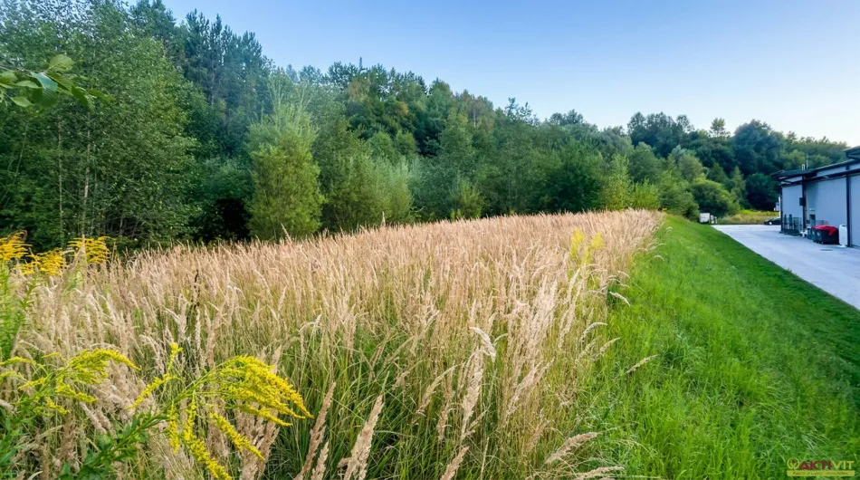 Gewerbegrundstück in Mürzzuschlag/Hönigsberg-Ost. - Titelbild