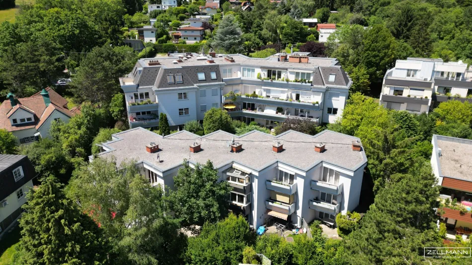 OBER ST VEIT | tolles Reihenhaus | Ruhelage | Waldrandlage | ZELLMANN IMMOBILIEN - Titelbild