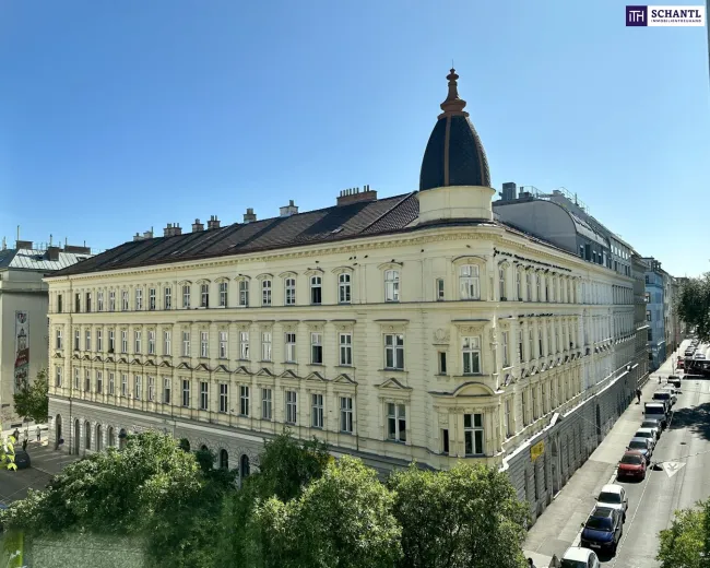 AH11 - Ein prachtvolles Gründerzeithaus erstrahlt in neuem Glanz! - Bild