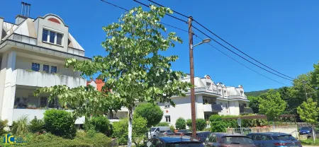 Moderne Wohnhausanlage angrenzend ans Villenviertel
