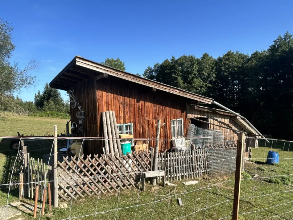 Großzügiges Wildgehege, Fischteich mit Wasserecht ca. 6476m² in Kirchstetten – gepflegt und vielseitig! - Bild