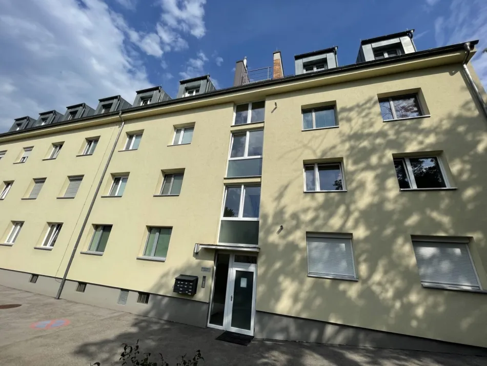renovierte Wohnung mit möblierter Küche zu vermieten - Titelbild