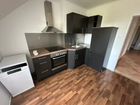 renovierte Wohnung mit möblierter Küche zu vermieten - Bild