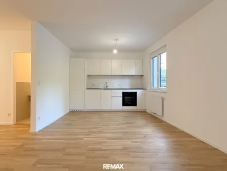 Wohnzimmer mit offener Küche