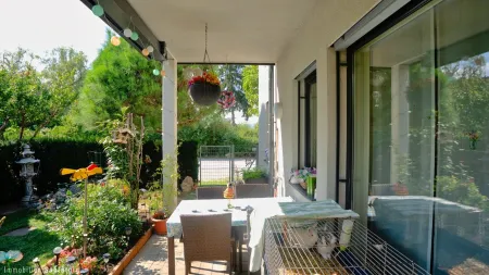SÜSSE MARILLEN IM GARTEN
