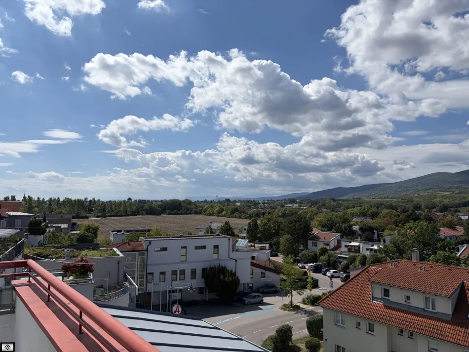 Terrasse 2 - Anningerblick