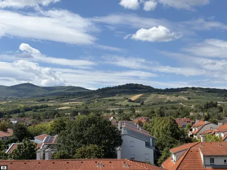 Terrasse 2 - Anningerblick