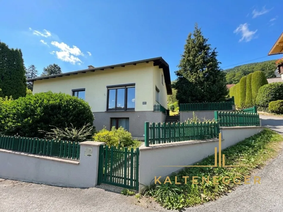 Helles Einfamilienhaus mit großem Garten in ruhiger Lage - Titelbild