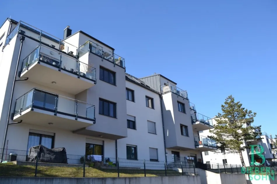 Wohnraum/Blick Terrasse