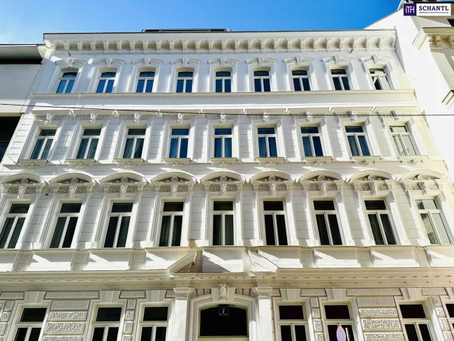 Die perfekte Stadtwohnung - Magisch schöner Altbau in bester Nachbarschaft! BEZUGSFERTIG! - Bild