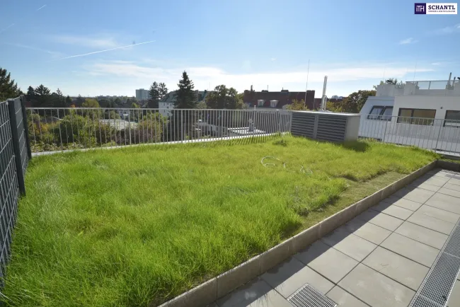 Geniale Gartenwohnung mit Fernblick - vier Zimmer - über 90 m² Freifläche und perfektem Grundriss! - Bild