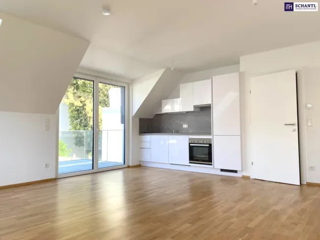Befristet vermietet. Moderne Single-Wohnung mit Westbalkon, Tageslichtbad und besonderem Grundriss! - Bild