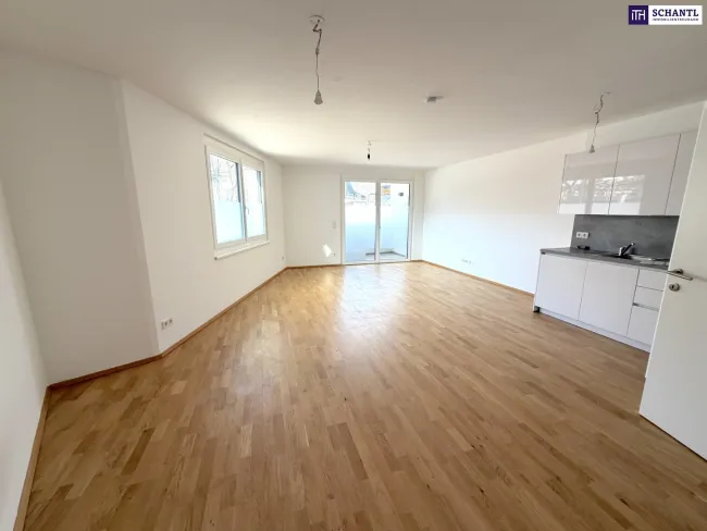 Clever wohnen im Grünen – Moderne Anleger- oder Singlewohnung im 22. Bezirk - Bild