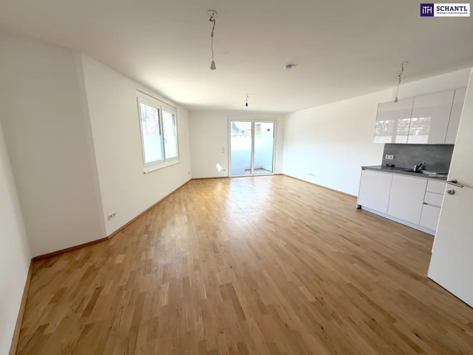 Clever wohnen im Grünen – Moderne Anleger- oder Singlewohnung im 22. Bezirk - Bild