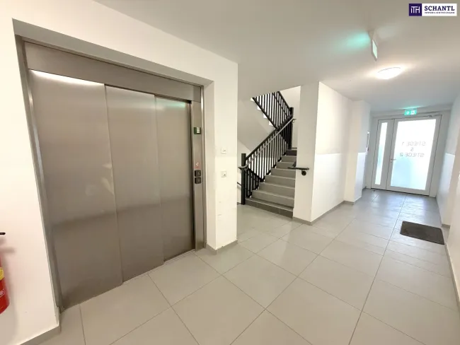 Cool für Anleger! Eine neuwertige DG-Wohnung zum Verlieben! Befristet vermietet. - Bild