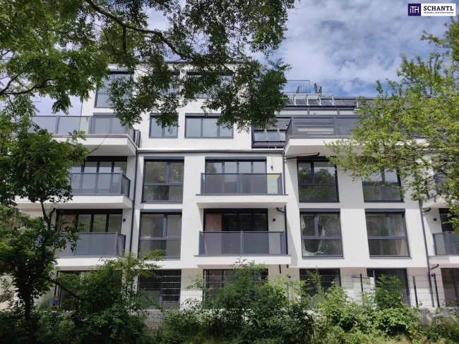 Perfekte Anlage oder Eigenheim mit 3 Zimmer und 19 m² Freifläche! Erstbezug. - Bild