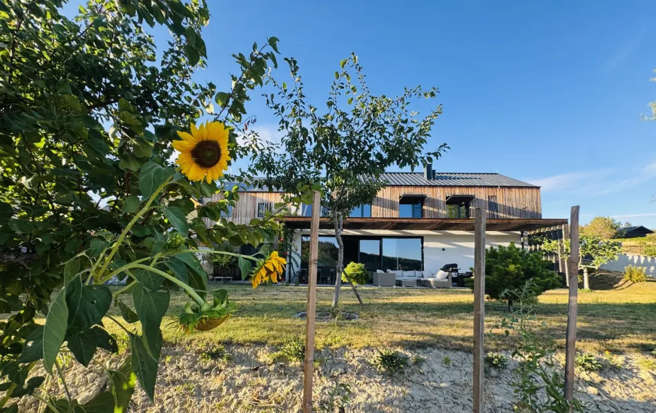 WOHNEN AM WEINBERG MIT WEITBLICK ÜBER DAS KREMSTAL - Bild
