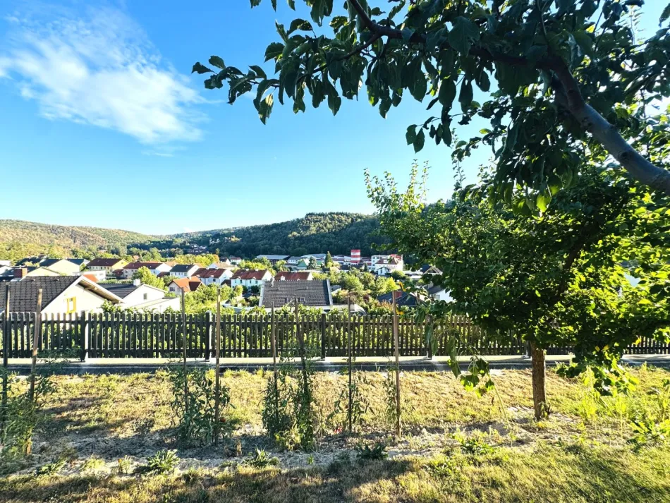 WOHNEN AM WEINBERG MIT WEITBLICK ÜBER DAS KREMSTAL - Bild