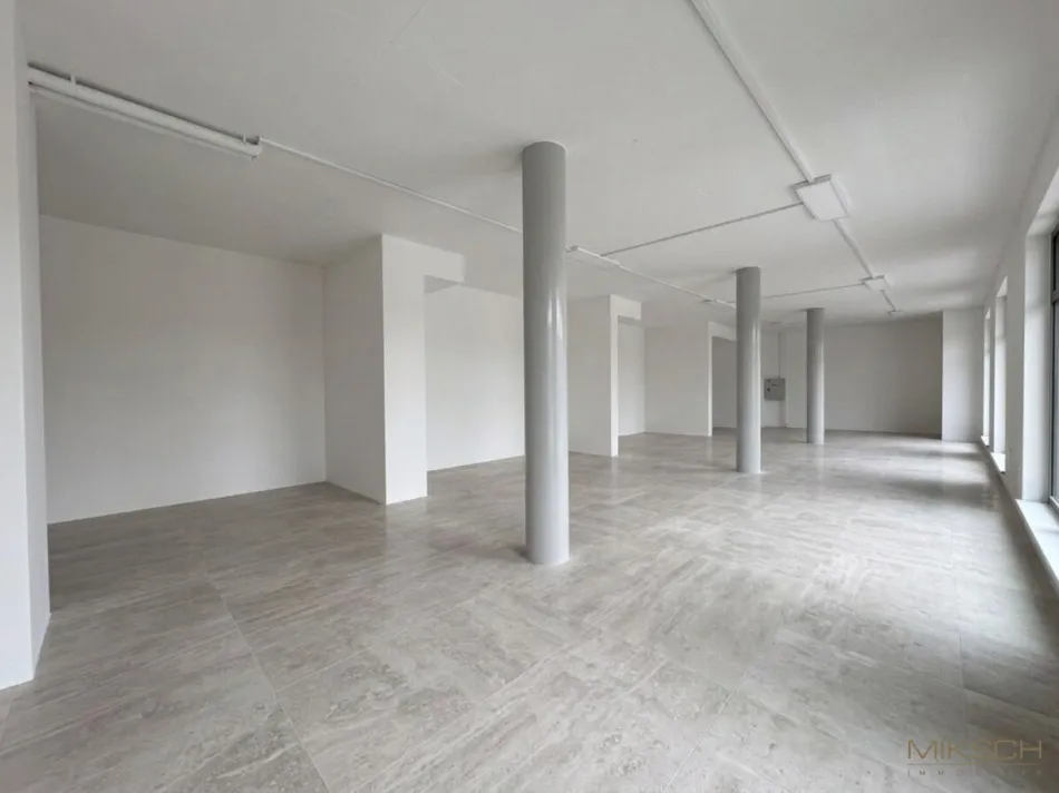 Neues Geschäftslokal I 152m² Nutzfläche I 20,47m² Freifläche I Außenstellplätze I in St. Pölten - Bild