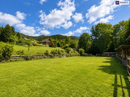 Landhaus mit Pferdehaltung in einzigartiger Panoramalage – Wohnen, wo Natur zuhause ist
