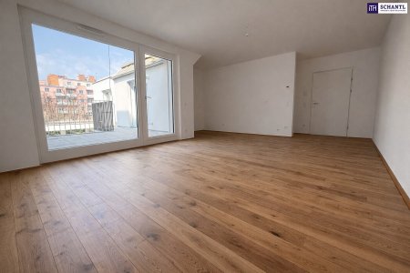 Hochwertig fertiggestellt I Zentrumsnah I Nachhaltig I Ruhig I Perfekt angebunden! 2-Zimmer Dachgeschoßwohnung im DAS WEGL!