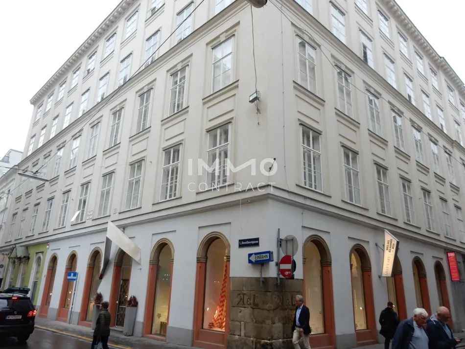 3-Zimmer-Wohnung zwischen Spiegelgasse und Dorotheergasse - Bild