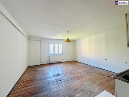 Sanierungsbedürftig - Charmante 55m2 Wohnung mit Potenzial in zentraler Grazer Lage -nähe FH!
