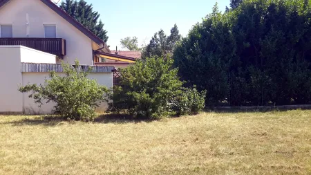 20190724_105911.jpg