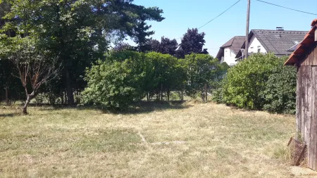 20190724_105839.jpg