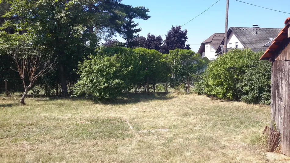 20190724_105854.jpg