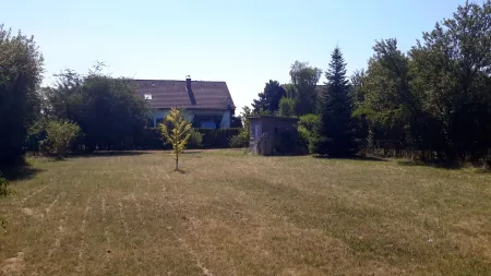 20190724_105854.jpg