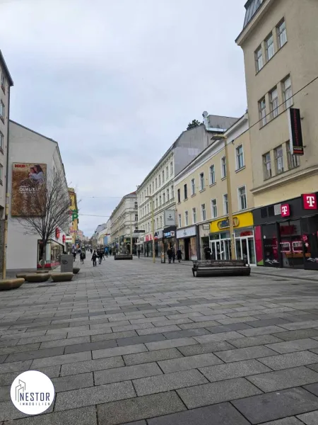 Geschäftslokal - NESTOR Immobilien
