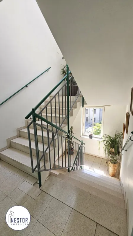 Wohnung - NESTOR Immobilien